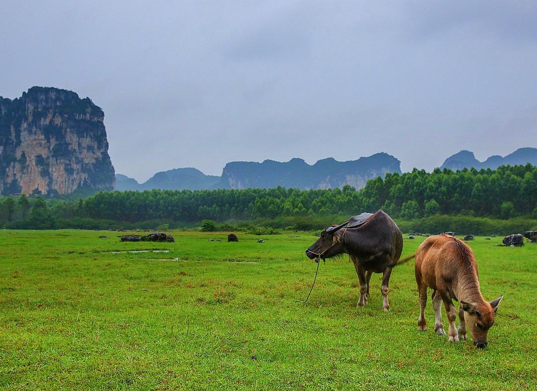毛塘湿地公园-上林县必去景点