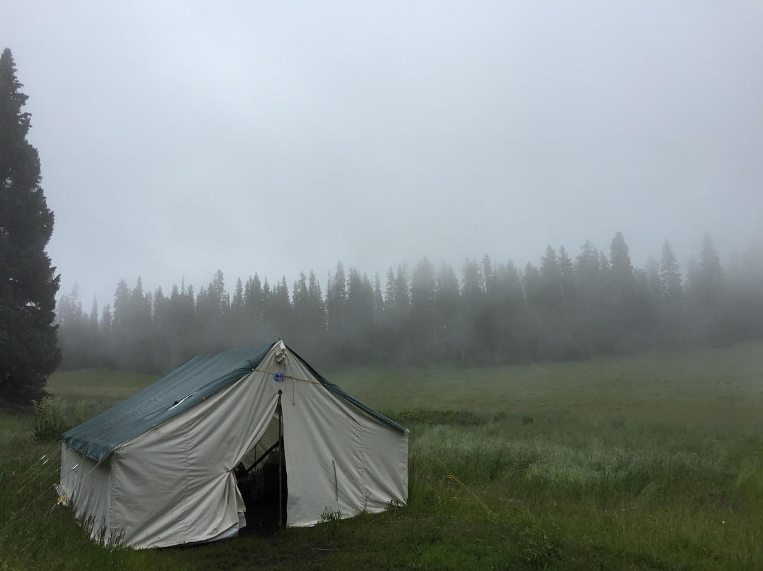 West Elk Wilderness Outfitters景点图片