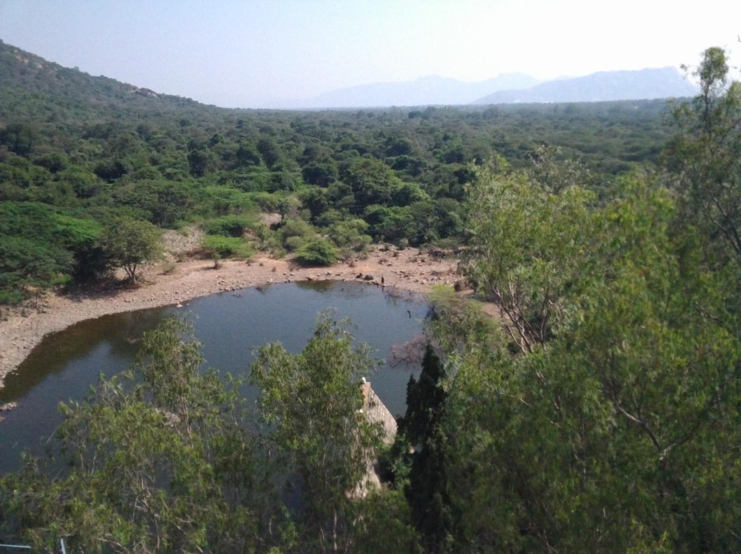 Kalyani Dam景点图片
