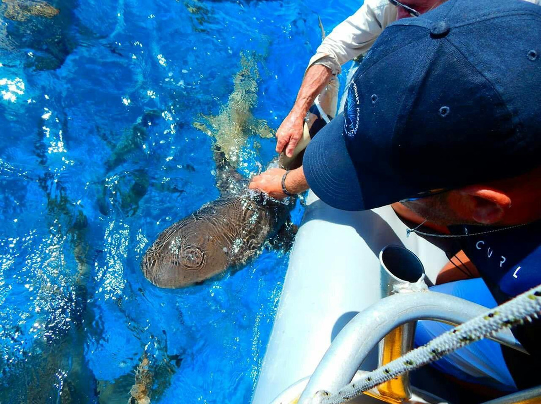 Island Explorer Holidays - Private Day Tours-West Island必去景点