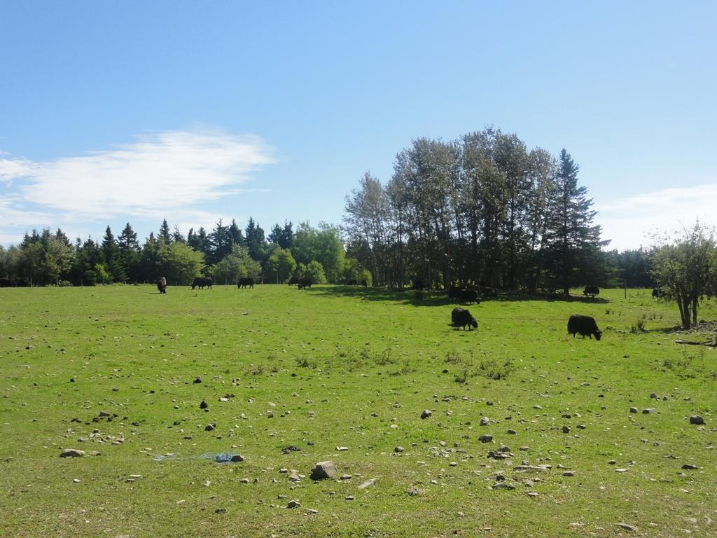 Saint-Elzear旅游攻略图片