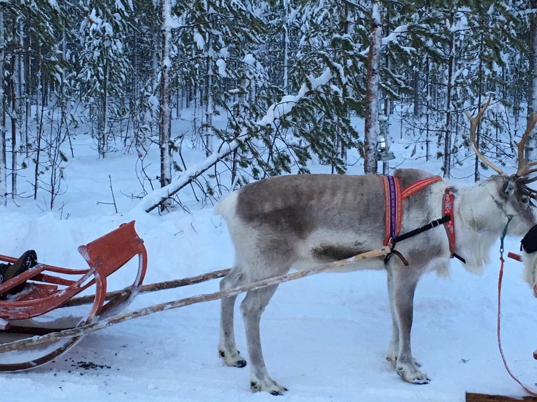 Lapland Vuollerim Welcomes You景点图片