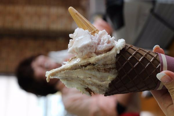 Michi no Eki  Agri Park Ryuo-龙王町必去景点