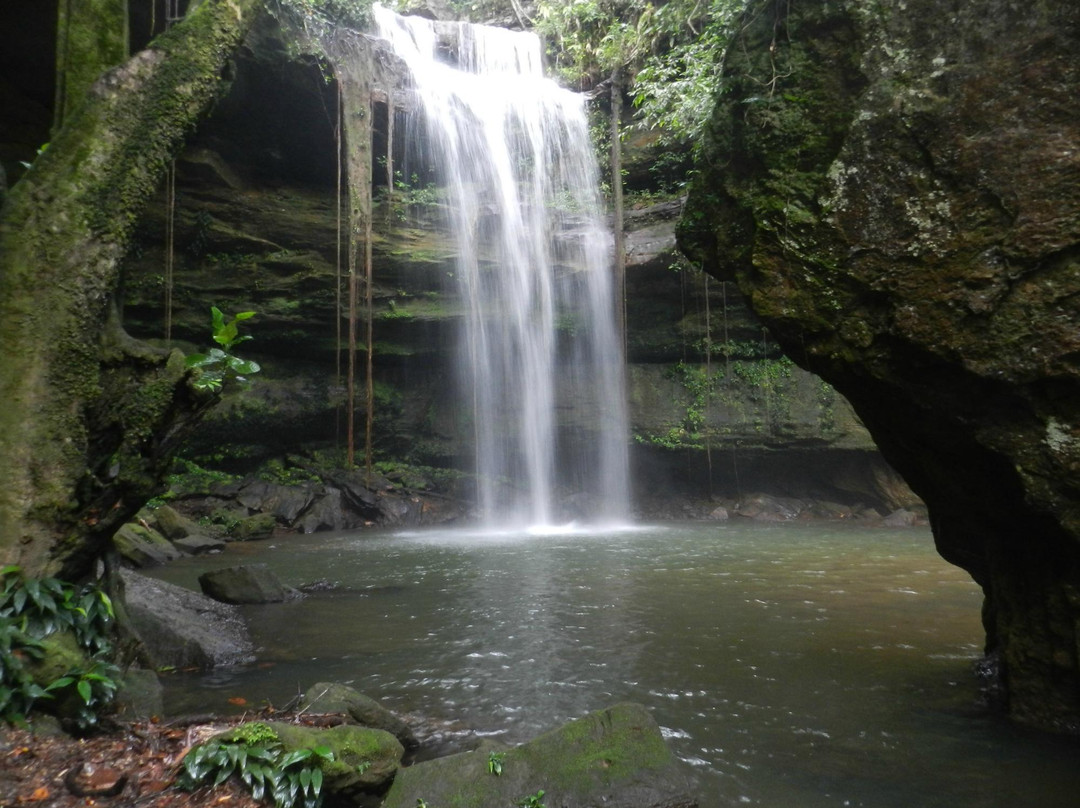 Fazenda Encantada Waterfall-Palmas必去景点