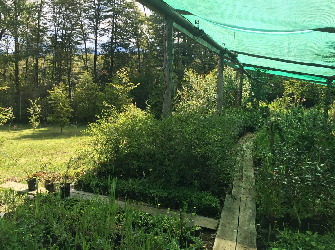 Parque Saltos del Mariman-普孔必去景点