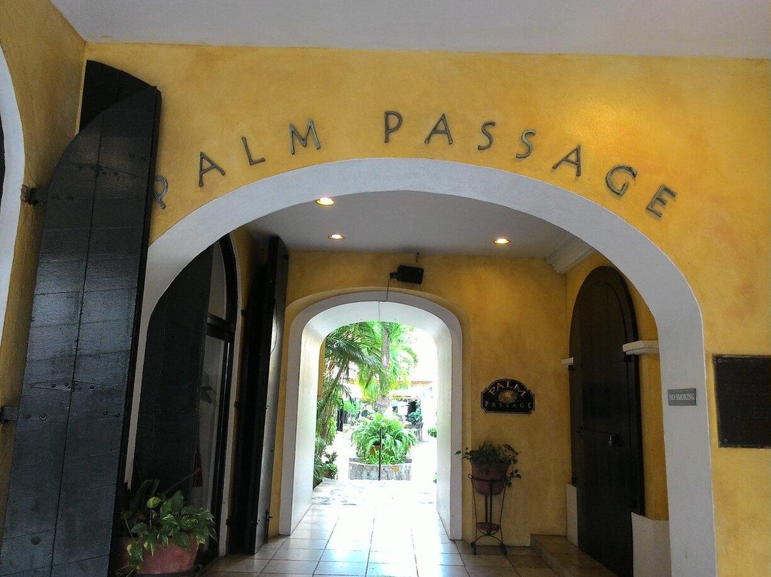 Palm Passage Retail Mall-夏洛特阿马利亚必去景点