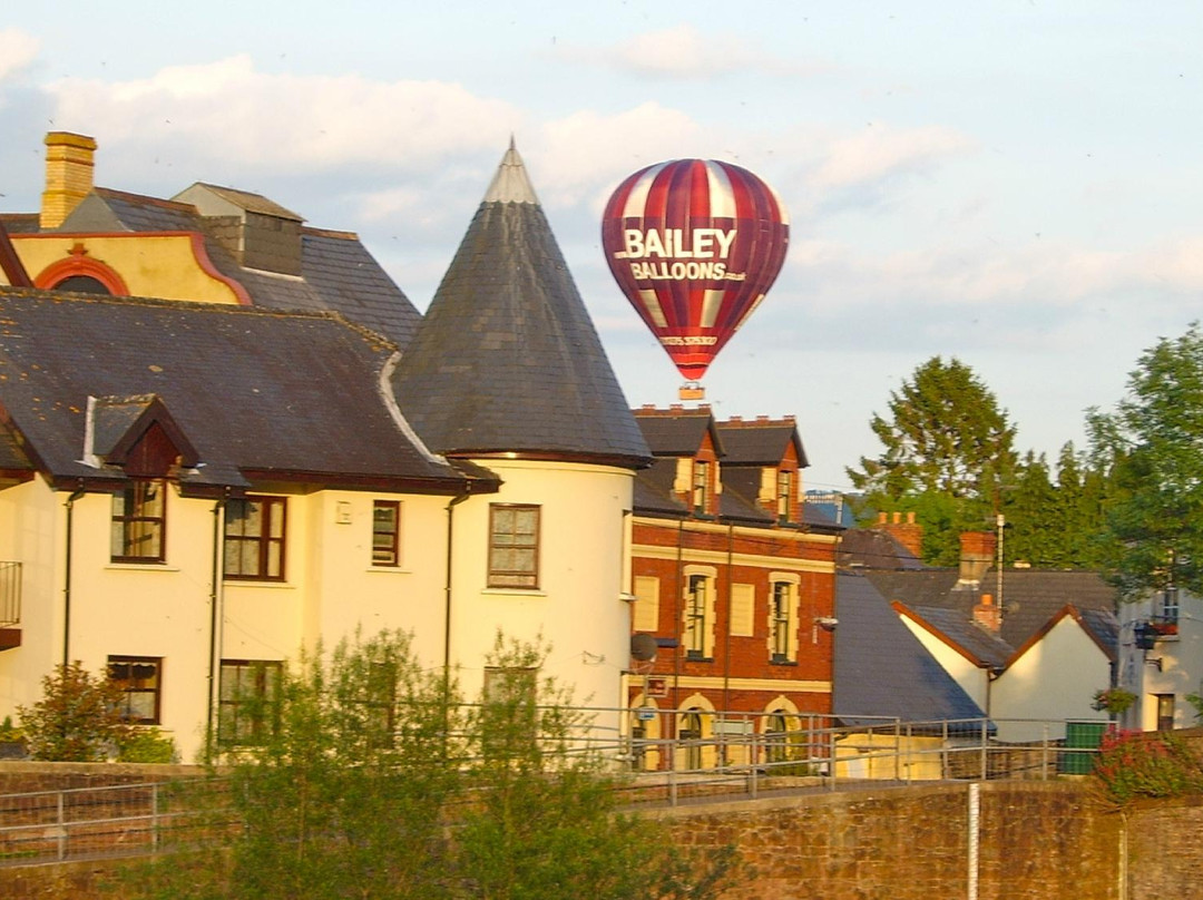 Bailey Balloons景点图片