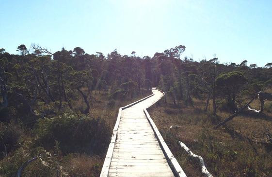 Kennedy River Bog Provincial Park景点图片