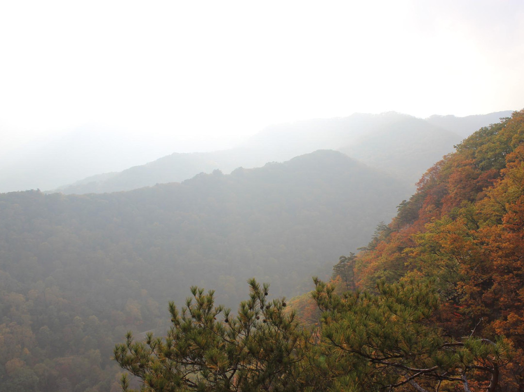 红叶谷-蛟河市必去景点