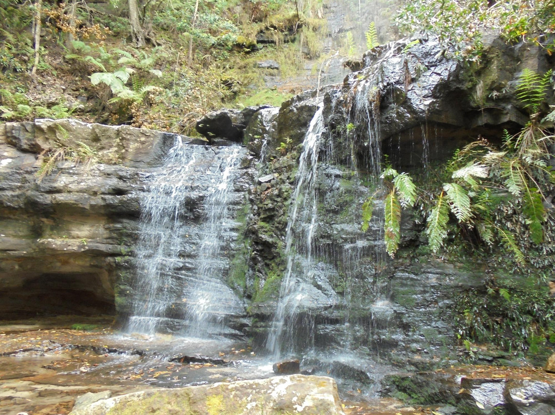 Fairy Bower Falls-Bundanoon必去景点