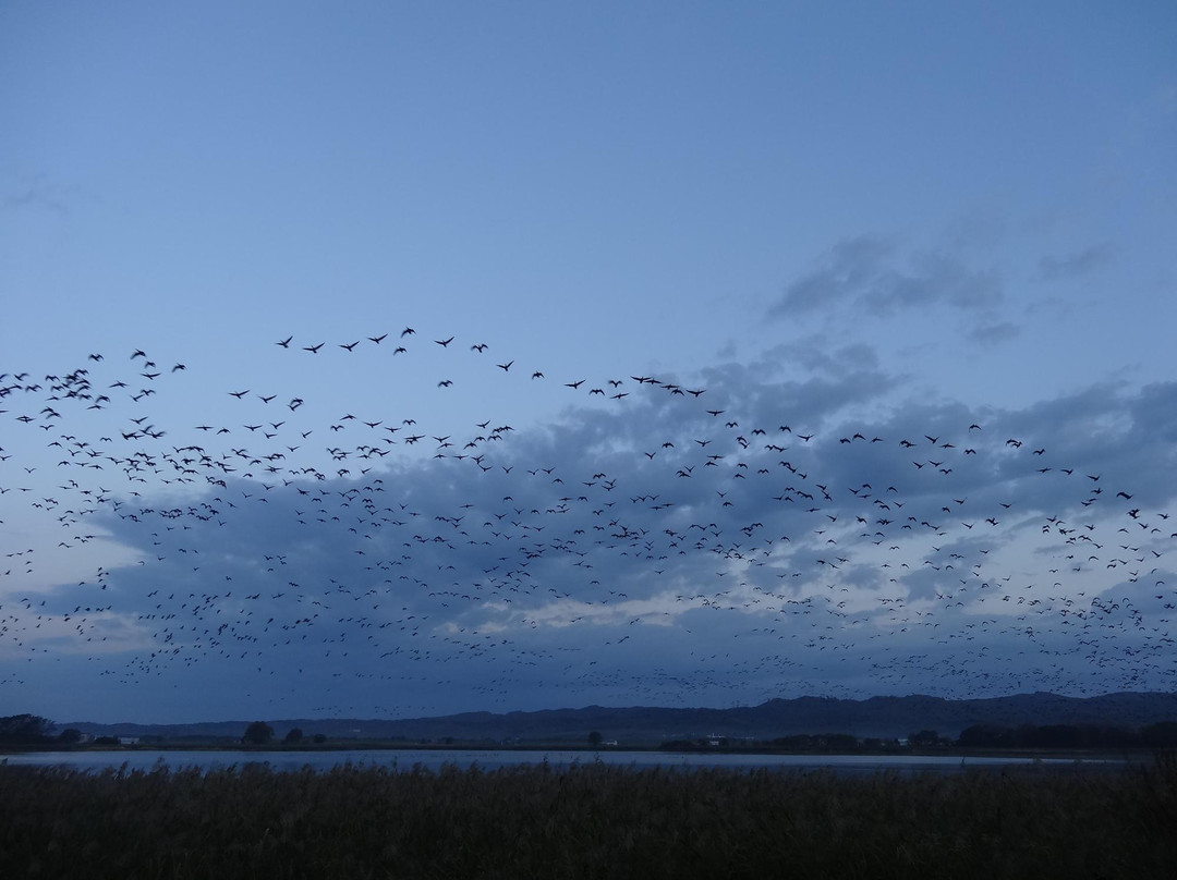 Miyajimanuma-美呗市必去景点