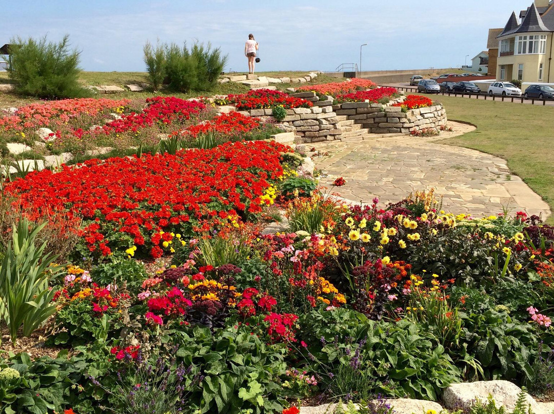Sandown Castle Community Garden景点图片