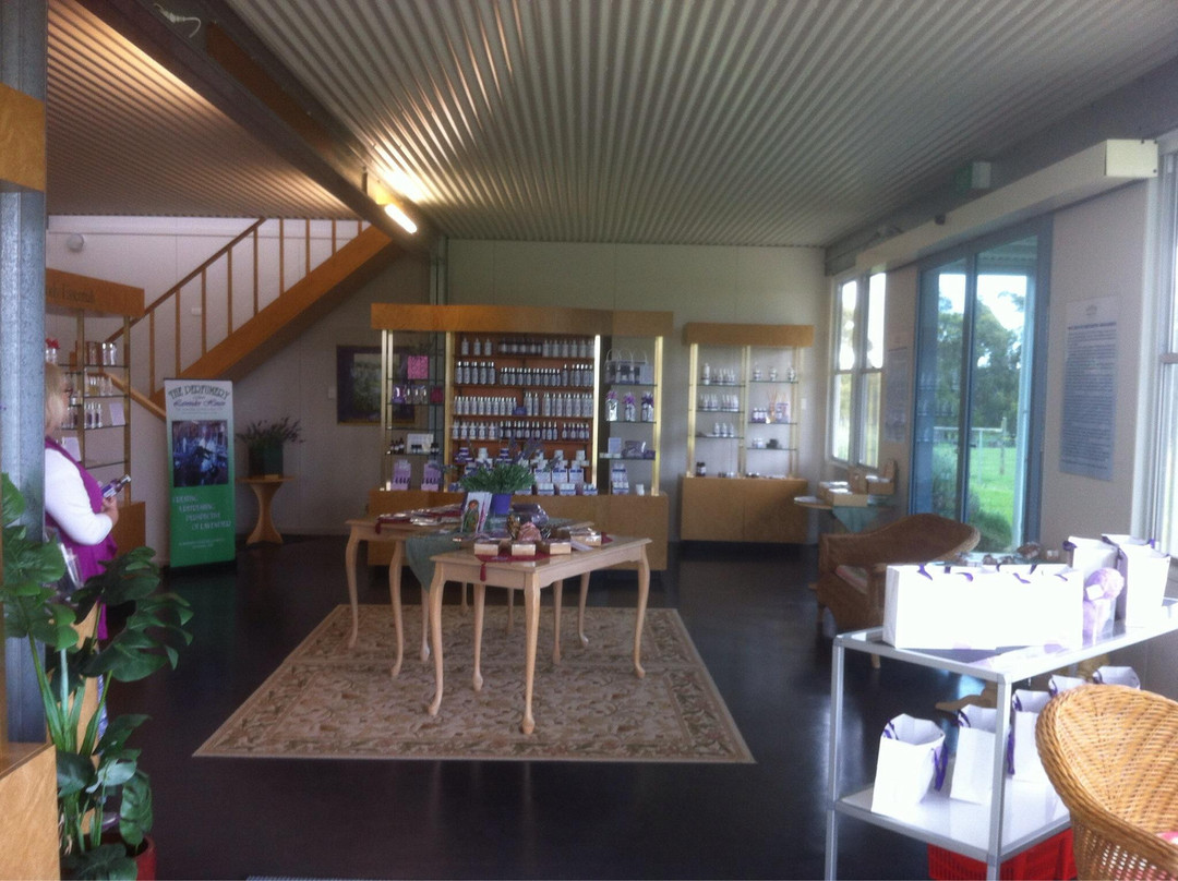 Lavender House Perfumery-Rowella必去景点