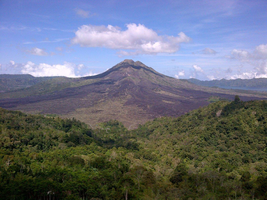 Junas Bali Tour - Day Tours景点图片