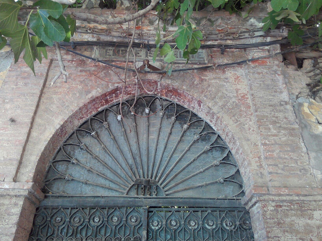 Ancienne Synagogue de Blida景点图片