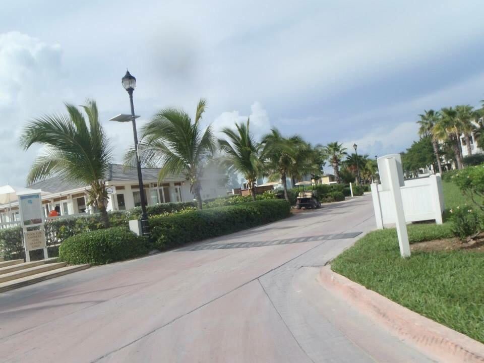 Bimini Road-Bimini必去景点