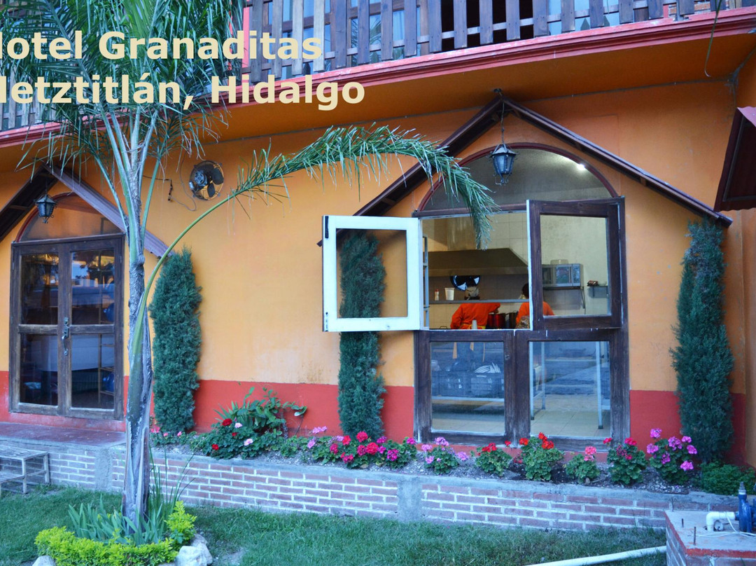 Hotel Granaditas主图