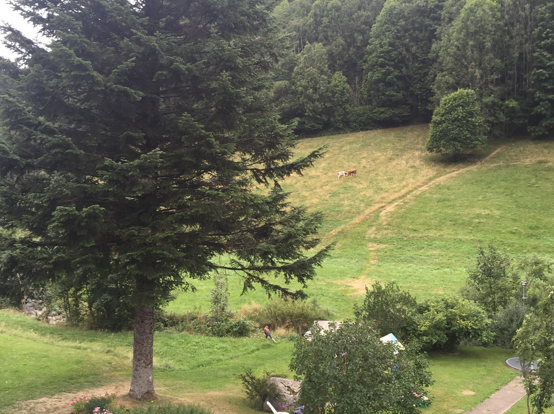 Akzent Hotel Lawine主图