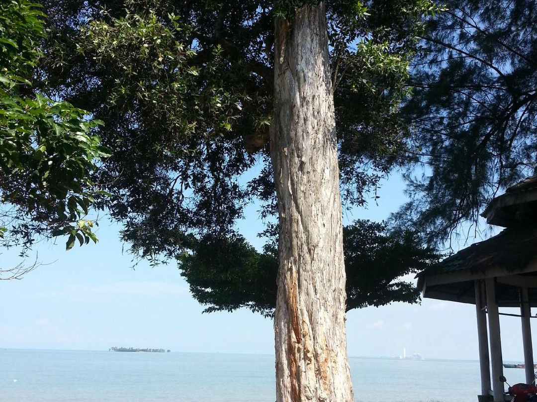Tanjung Gemok Beach-波德申必去景点