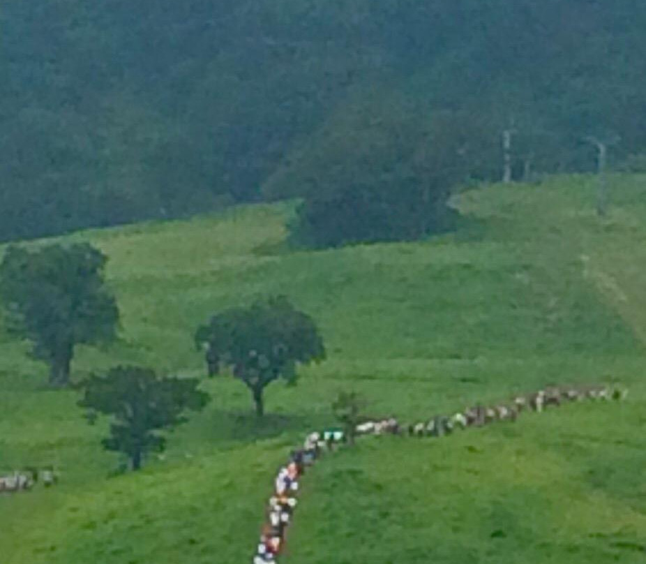 Hachi Highlands-养父市必去景点