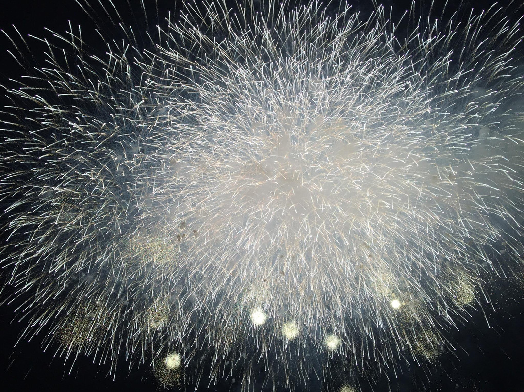 Tokyo Oval Keiokaku-调布市必去景点