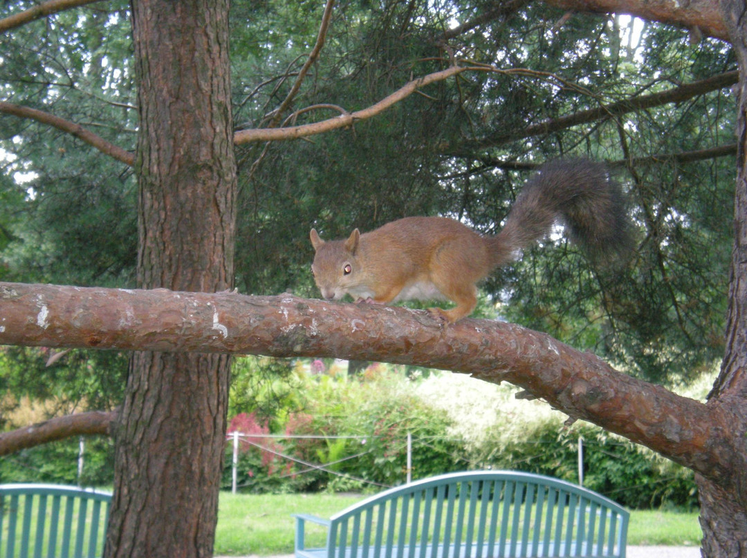 Kupittaa Park-土尔库必去景点