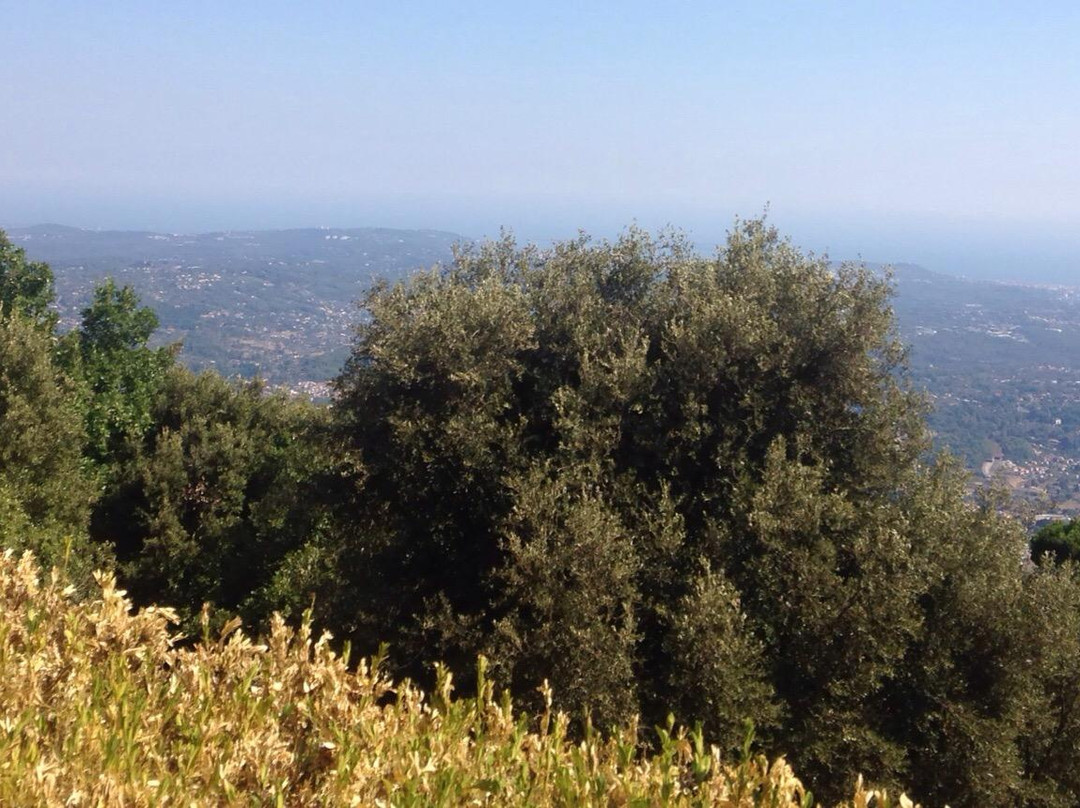 Riviera Nature景点图片