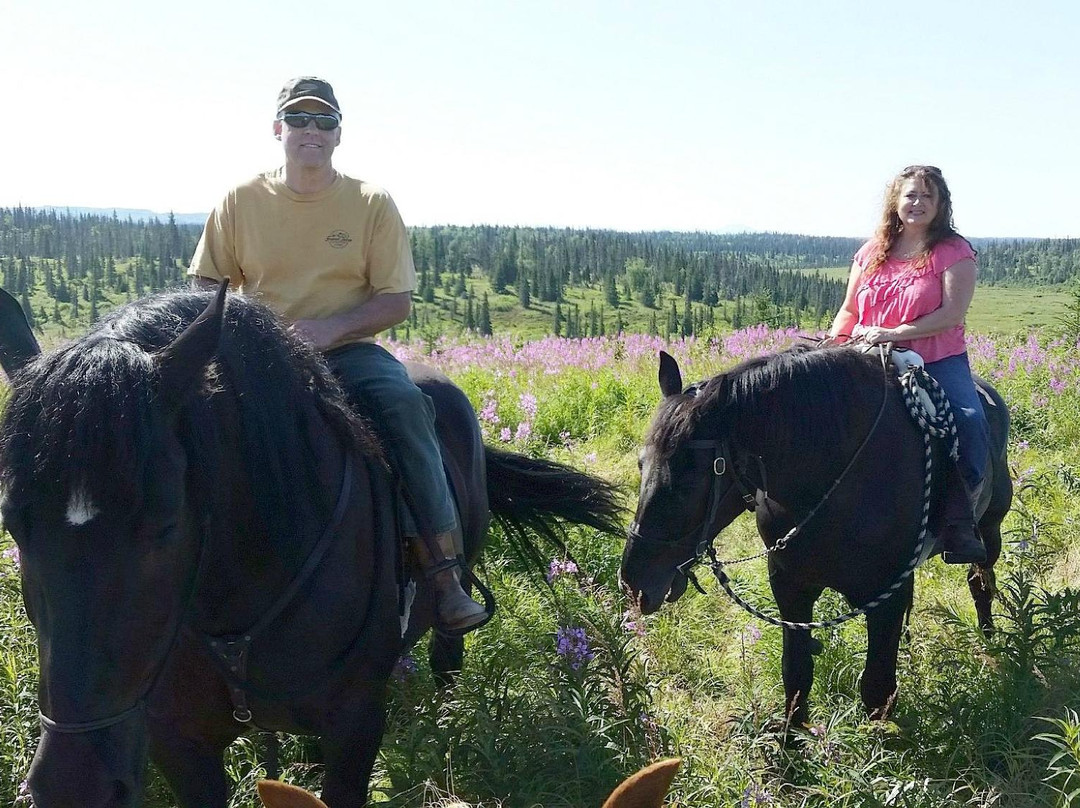 Alaska Draft Horse景点图片