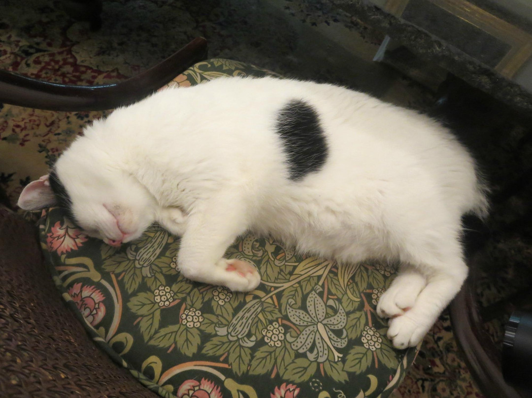 Matsuyma Garden Art Museum-匝瑳市必去景点