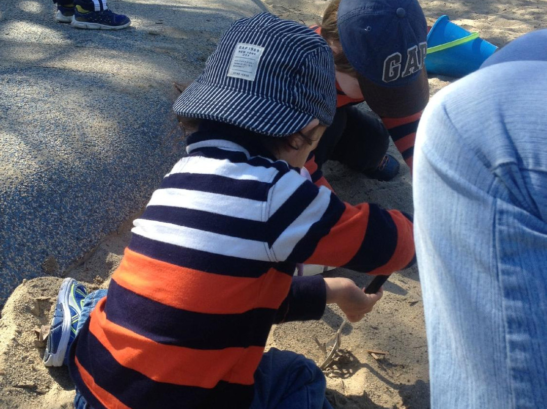 Civic Park-核桃溪必去景点