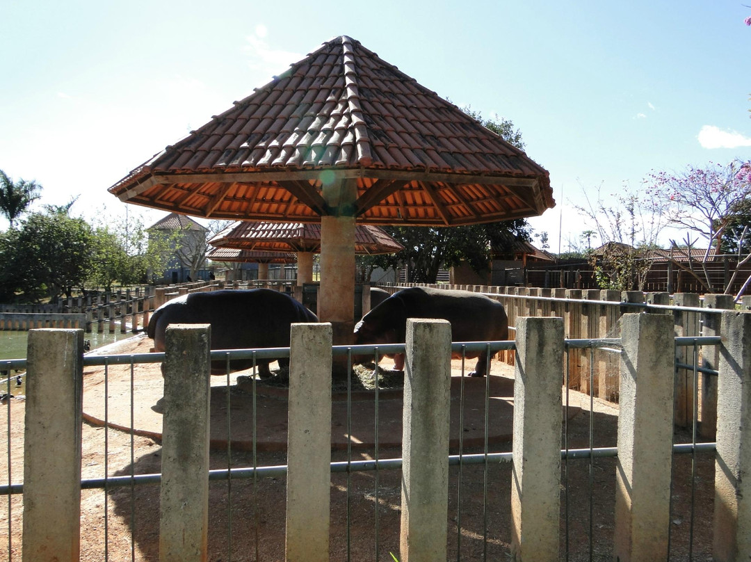 Jardim Zoológico De Brasília-巴西利亚必去景点