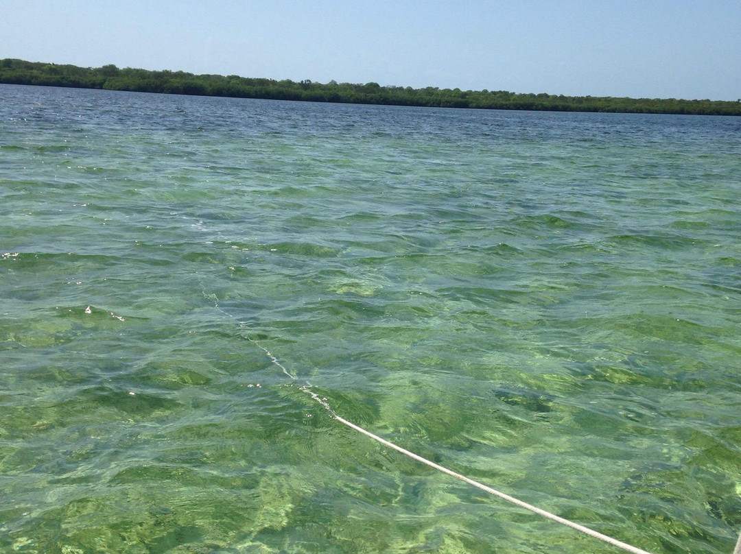 Elliott Key-比斯坎国家公园必去景点