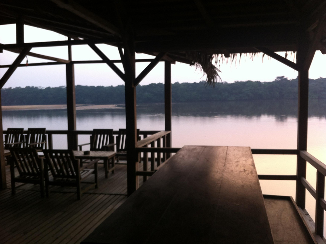 Dzanga-Sangha Reserve-Bayanga必去景点