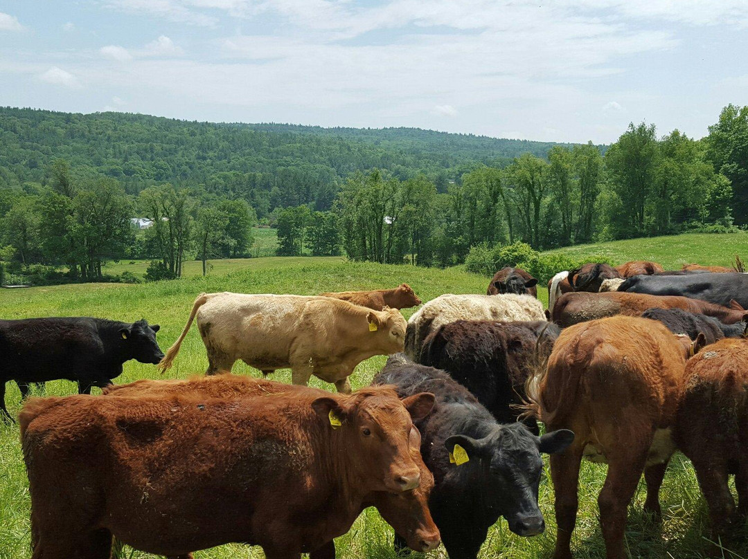 Walpole Valley Farms-Walpole必去景点