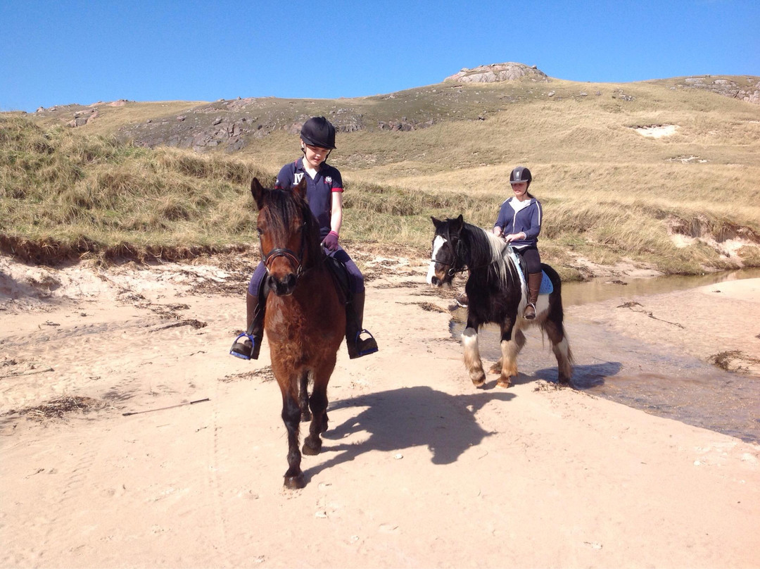 Free Spirit Trekking Centre景点图片