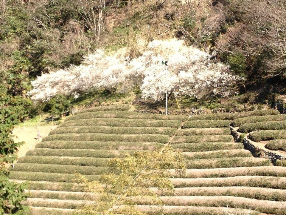 Mt. Shoto-桧原村必去景点