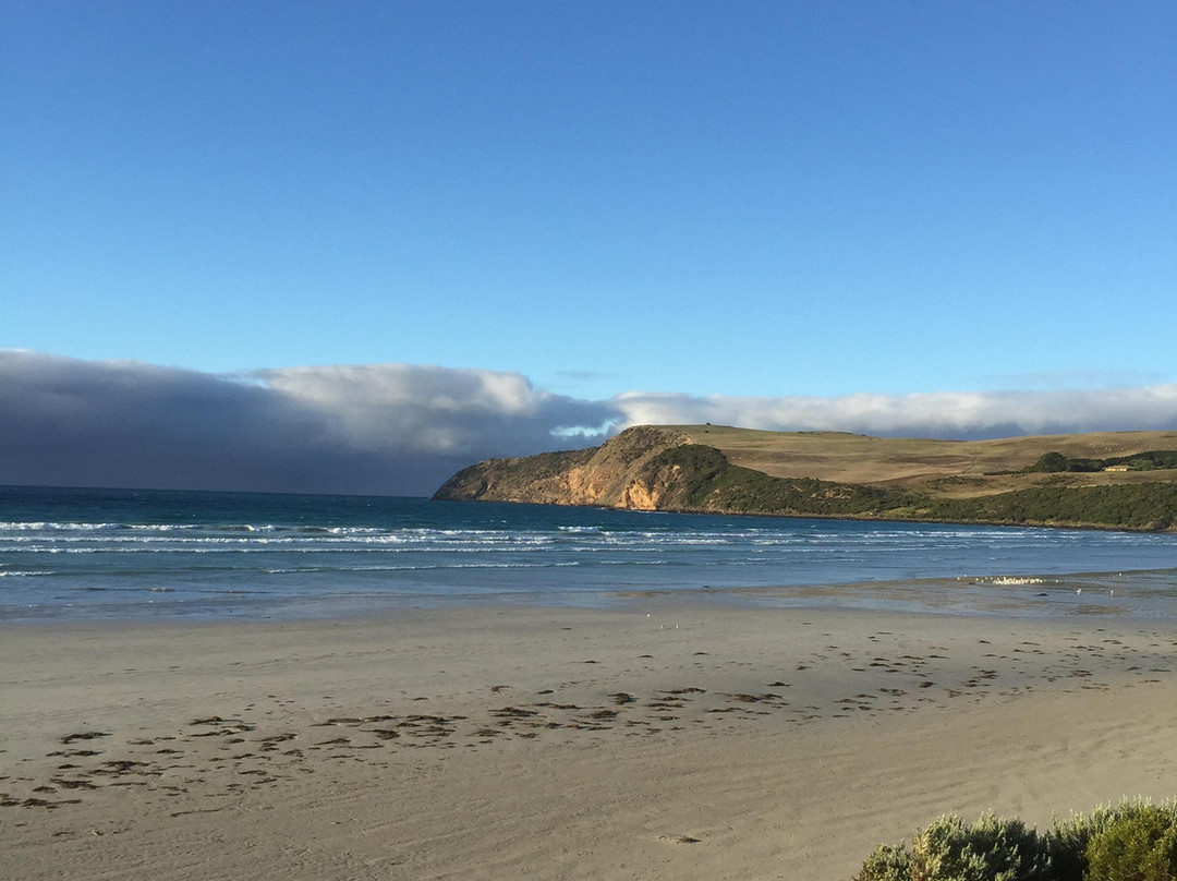 Cape Bridgewater Seal Walk-Cape Bridgewater必去景点