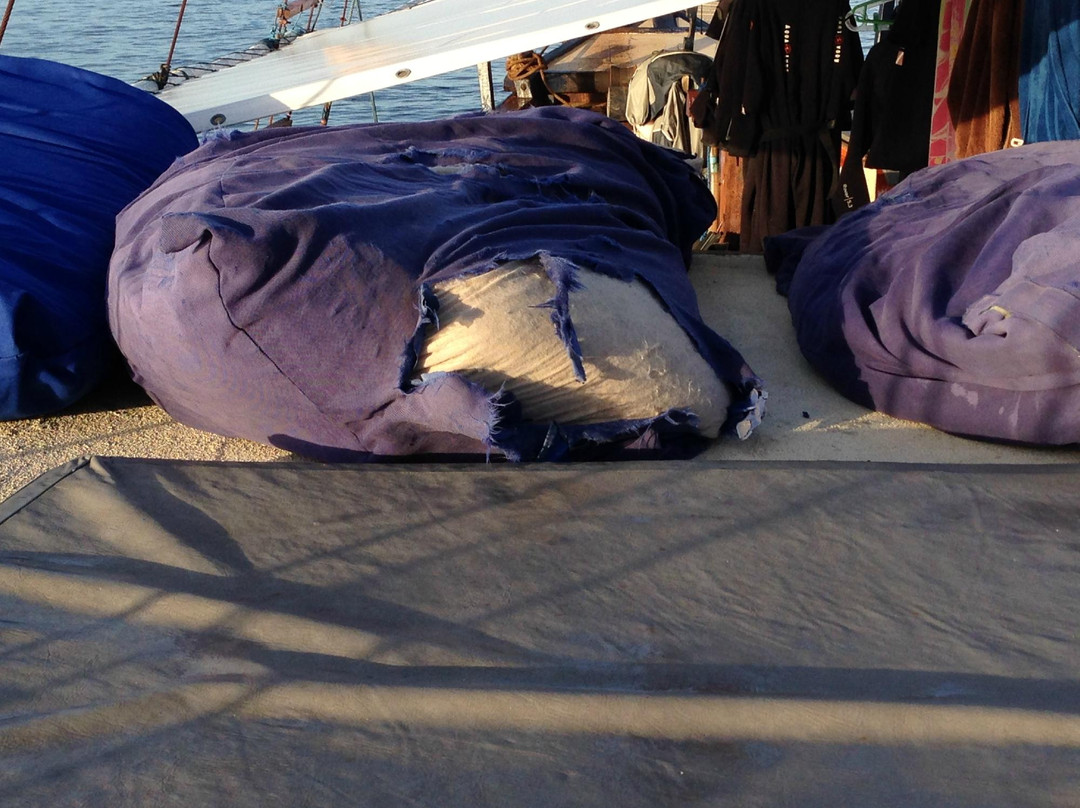 Wicked Diving Raja Ampat-索龙必去景点