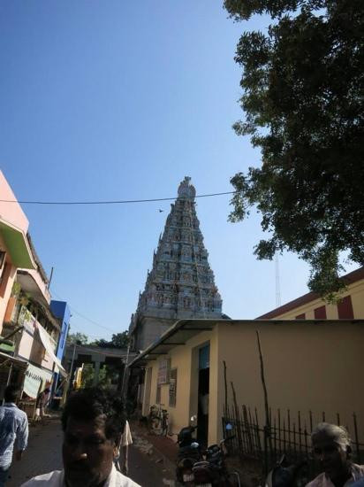 Thirunallar Temple景点图片