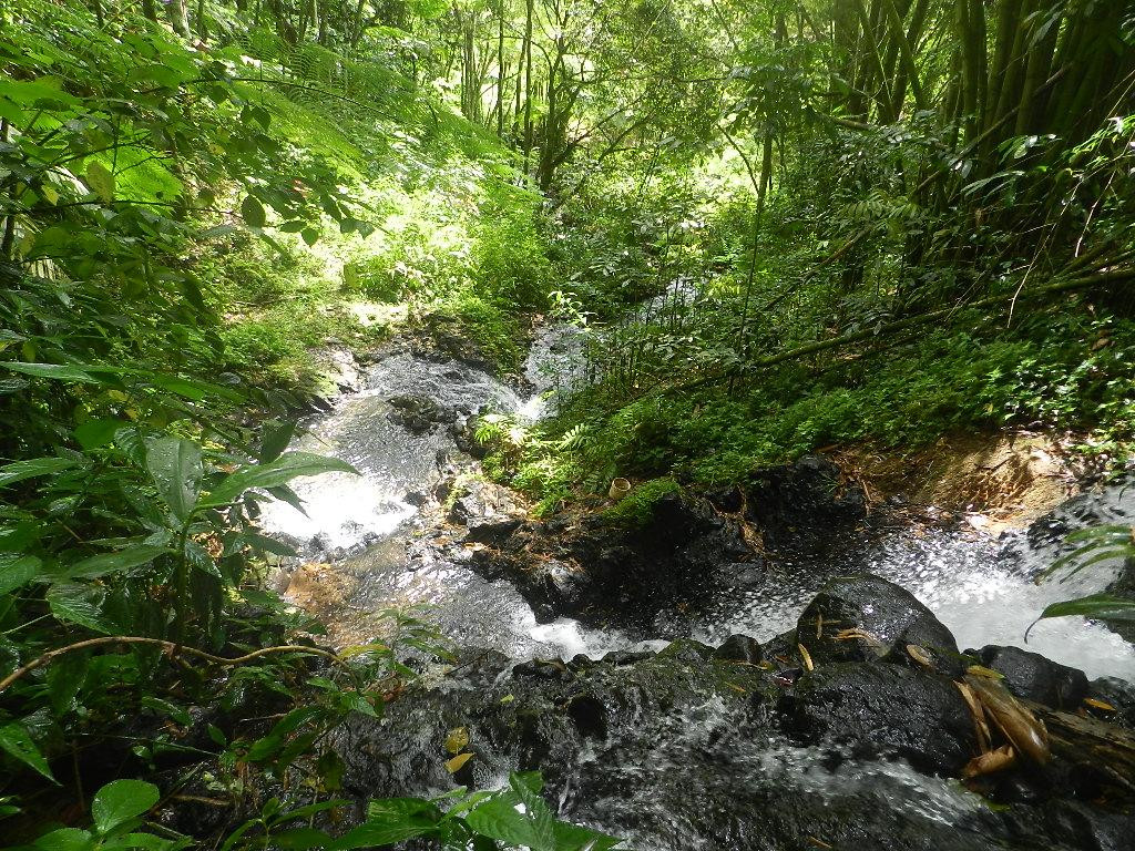 Cascade Saut Argis-Gros-Morne必去景点