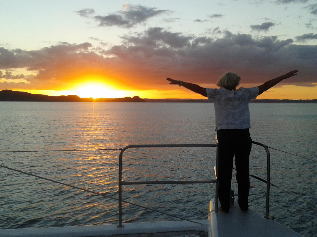 Discover Bay of Islands-派希亚必去景点