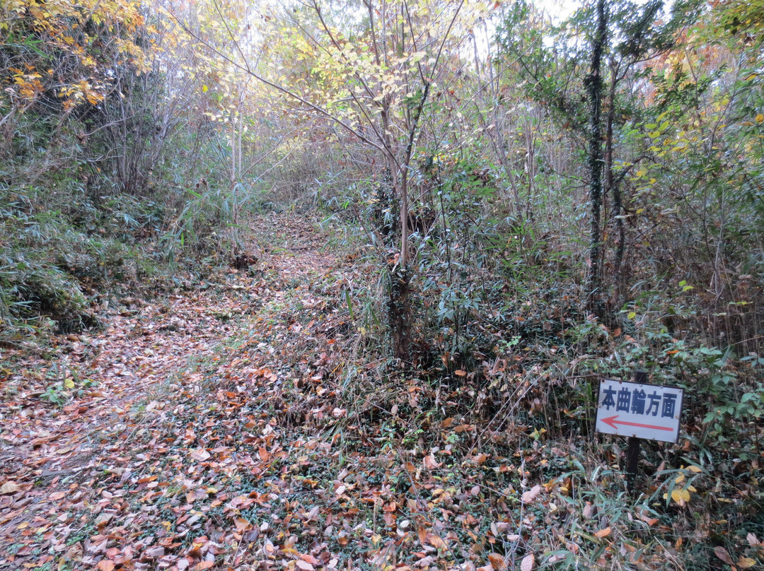 Ruins of Matsuyama Castle
