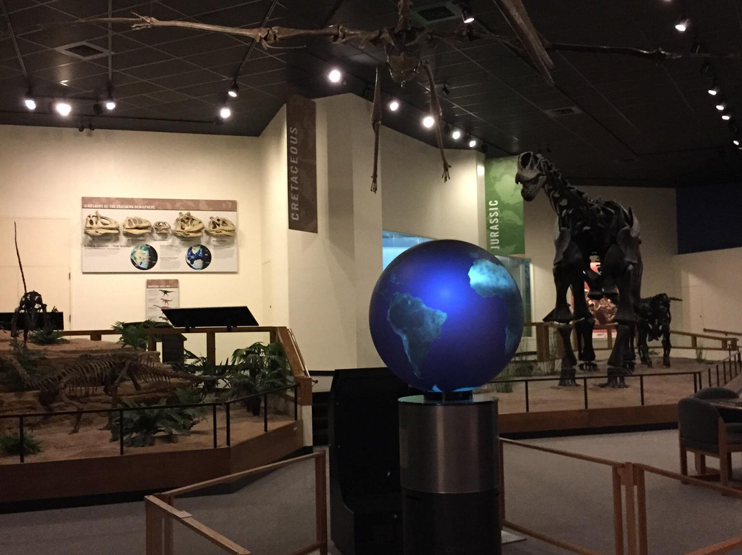 Museum of Texas Tech University-拉伯克县必去景点