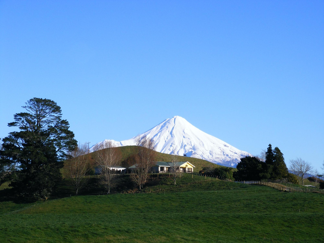 Studio 404 Farmstay Bed And Breakfast主图