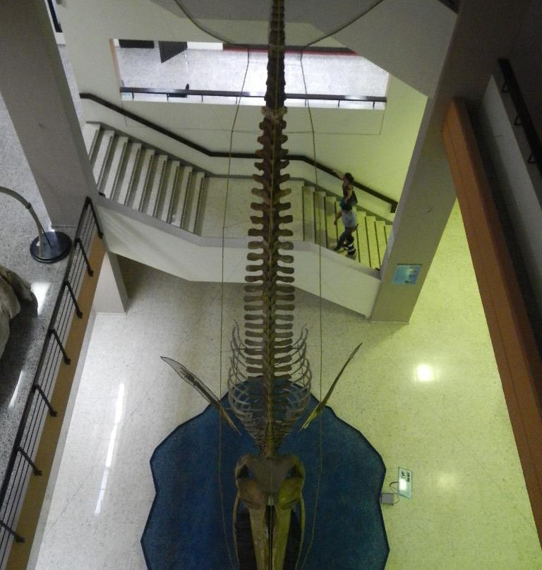 Museum of History and Geography景点图片