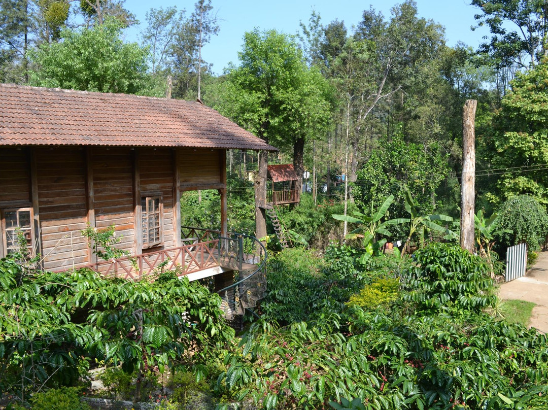 Forest Flower Homestay