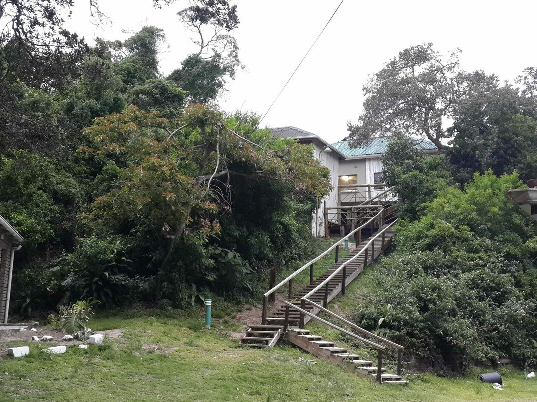 Lily Lodge
