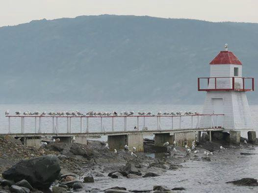 Conche Lighthouse景点图片