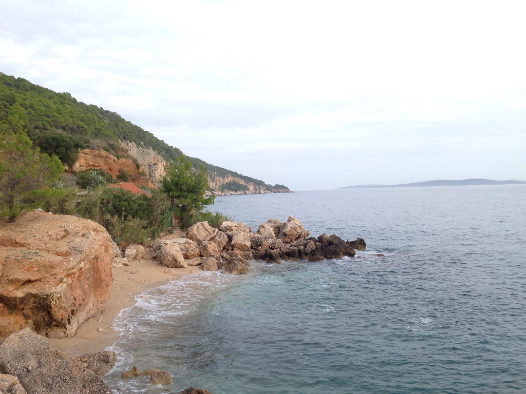 Exotic Beach景点图片