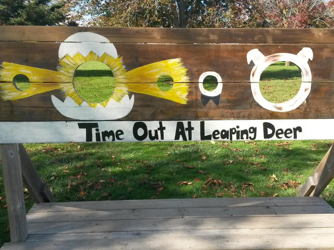 Leaping Deer Adventure Farm & Market景点图片